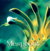 99c3c9aaf768d645 thumb200