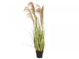 Europalms Chinese Silver Grass Gracillimus, Artificial, 140cm - £100.01 GBP