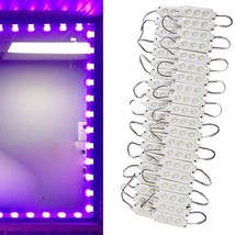 60ft Storefront LED Purple Light, Brightest Business Commercial Window B... - $124.73