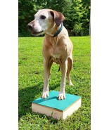 Pivot table for IGP, gun dog, obedience, tricks, agility, K9 conditioning - $50.00