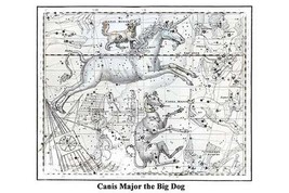 Canis Major the Big Dog by Alexander Jamieson - Art Print - £17.29 GBP+