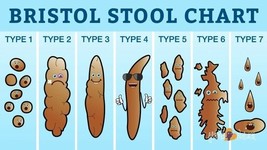 Vinyl Sticker 25x14.5cm laptop wall medical Bristol stool chart humour p... - £5.38 GBP