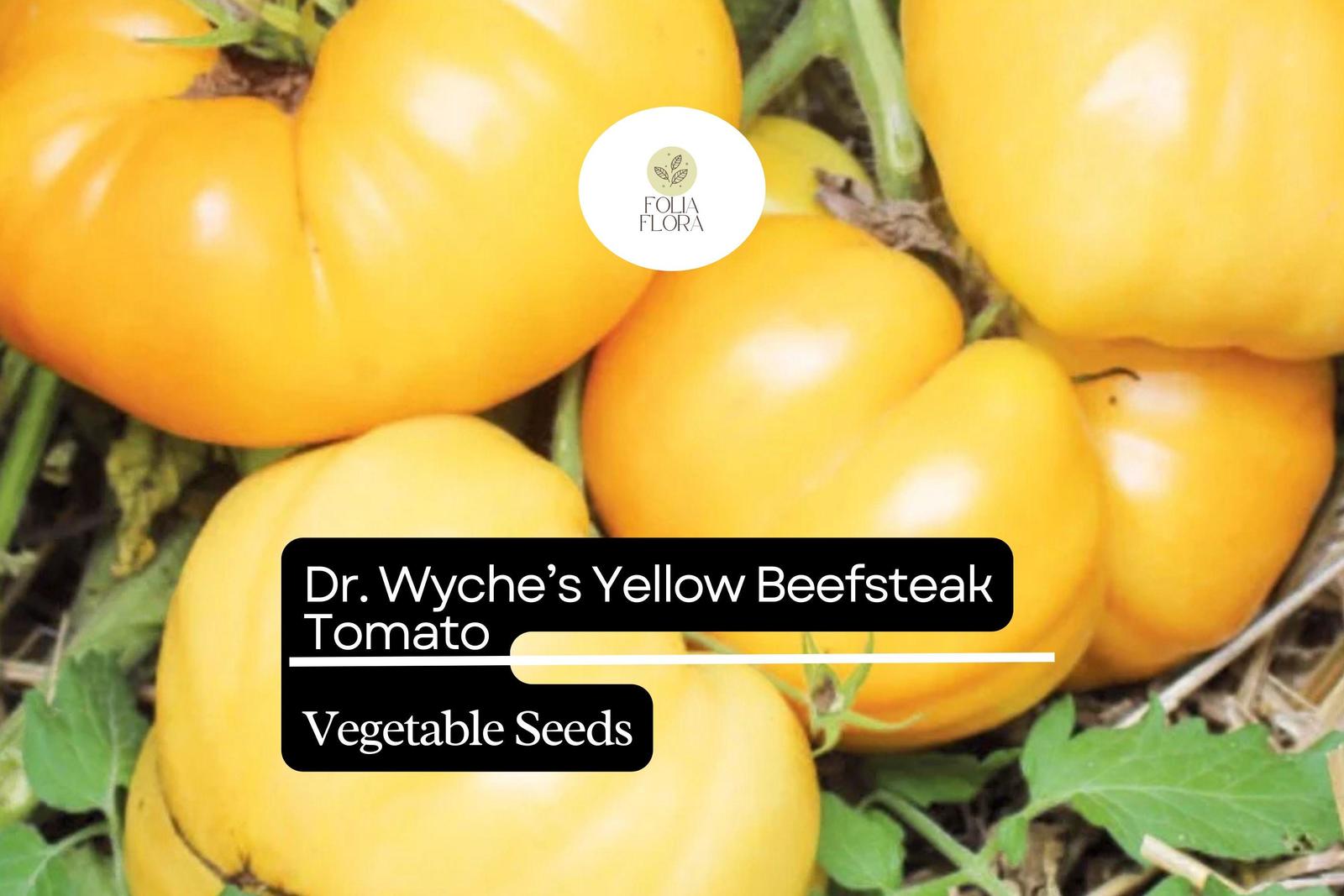 30 Dr. Wyche’s Yellow Tomato Seeds – Solanum lycopersicum – Heirloom Bee... - $5.14