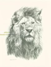 # 93 LION  portrait * wildlife  art print * pen &amp; ink drawing by Jan Jel... - $12.50