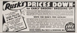 1942 Print Ad Rusk Farms Sexed Pullets,Chicks,Chickens Windsor,Missouri - £6.58 GBP