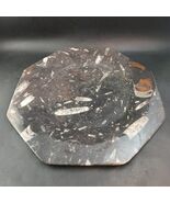 Octagonal Black Orthoceras Fossils Plate, Large 12&quot; Polished OBO - $944.35 MXN