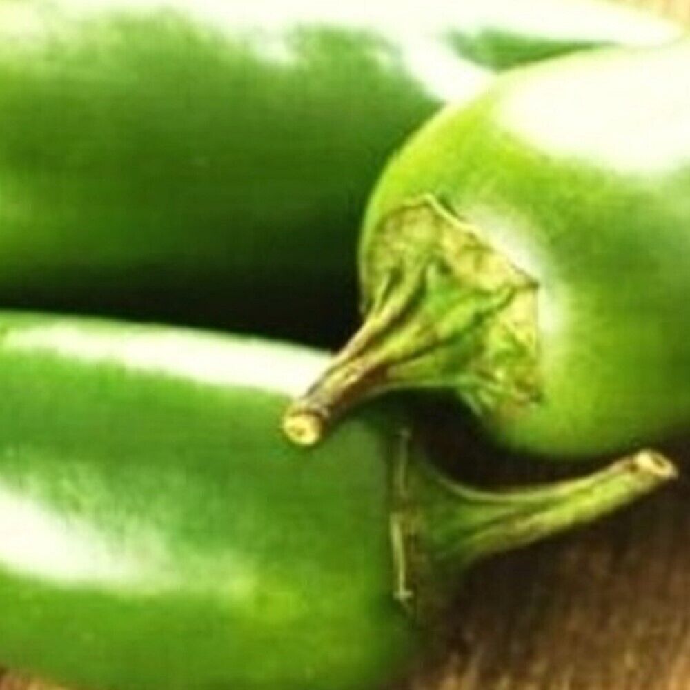 Primary image for Best 25 of Jalapeno M Pepper Seeds (NON-GMO) Heirloom Fresh Garden