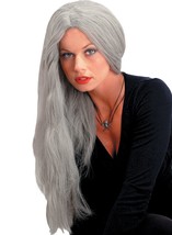 Seasonal Visions Adult Wig - Costume Accessory - Grey - One Size - 24 In... - £12.46 GBP