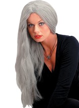 Seasonal Visions Adult Wig - Costume Accessory - Grey - One Size - 24 In... - £12.56 GBP