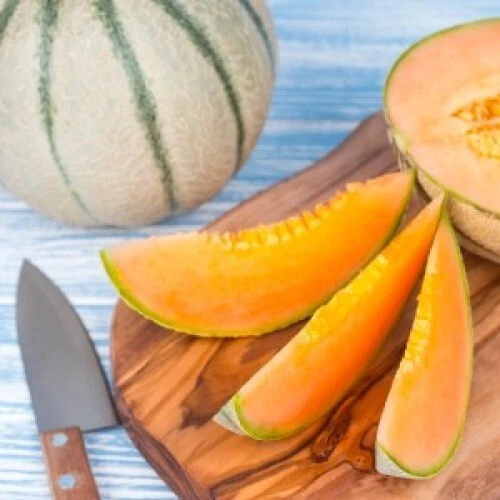15 SEEDS Charentais Melon  Garden Fresh Fruit Healthy Planting Summer - $9.62