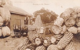 Bringing in the Sheaves Corn Cabbage Exaggeration Horsedrawn RPPC Postcard B25 - £2.36 GBP