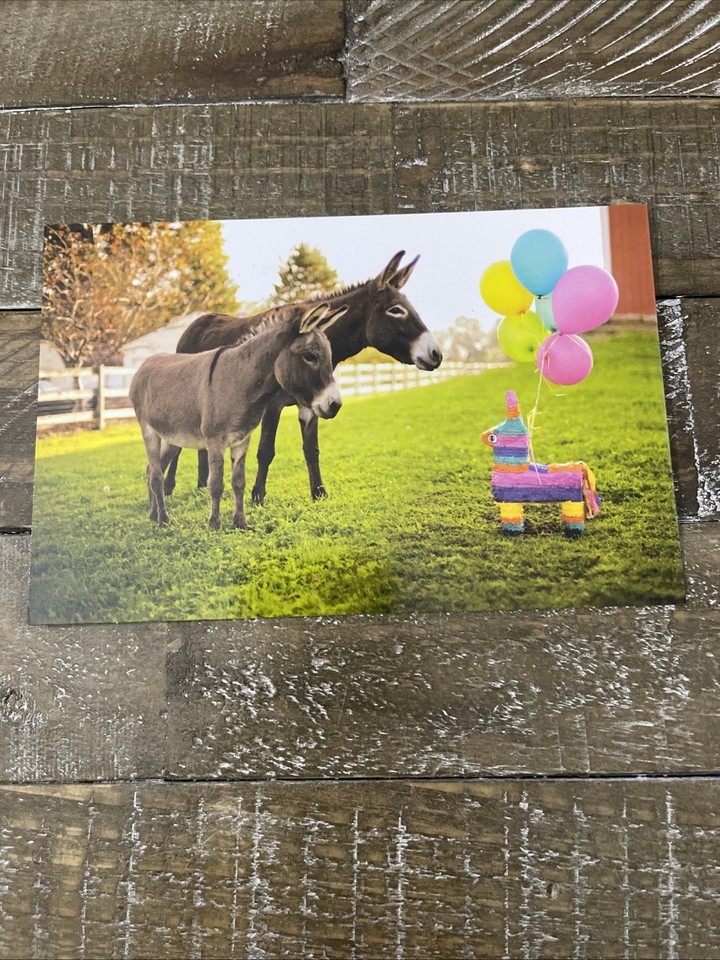 American Greetings Greeting Card Candy Donkey - Greeting Cards ...