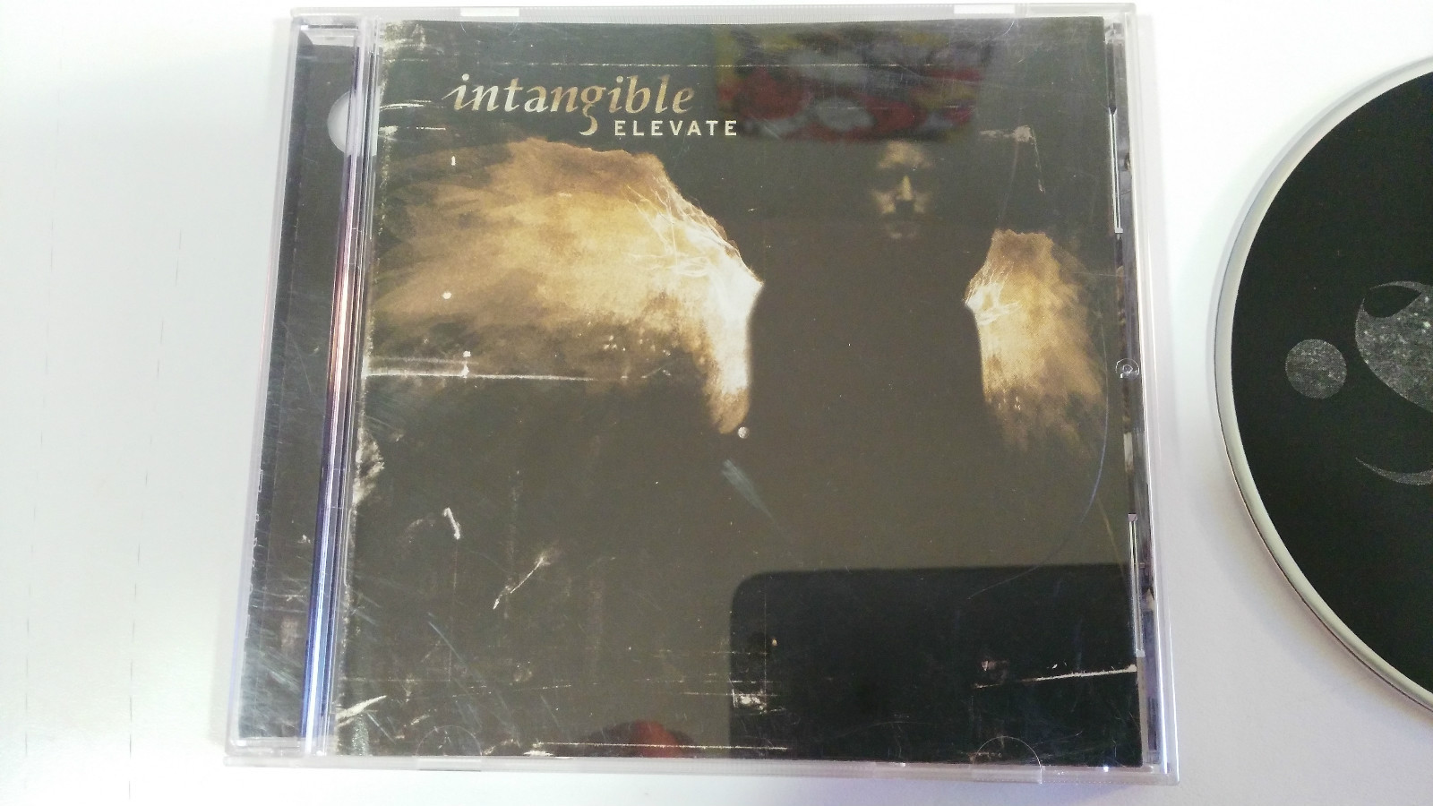 Immaterielle Elevate CD Heavy Metall Hard Rock Alternative Am Item image 3