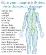 Lymphatic Drainage Tincture - $644.37 MXN