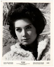 Alfred Hitchcock&#39;s THE BIRDS (1963) Suzanne Pleshette as Annie Hayworth 8x10 - £35.41 GBP
