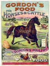 9488.Decoration Poster.Room Wall art.Home decor.Farm Cattle poultry horse food - £13.66 GBP+