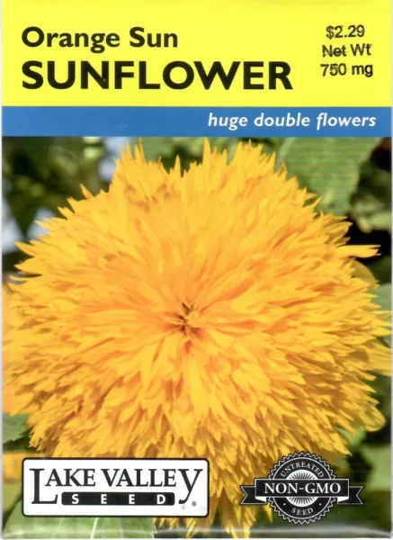 Sunflower Yellow Disk Non Gmo Flower Seeds Lake Valley 12/24 Fresh New - £6.89 GBP