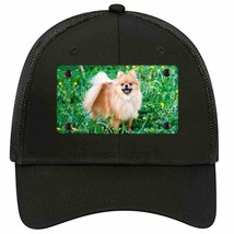 Pomeranian Dog Novelty Black Mesh License Plate Hat - £23.08 GBP