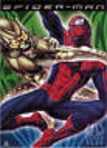 SPIDER-MAN ~ Vs Green Goblin ~ 22x34 Movie Poster ~ Tobey Maguire Spiderman - $9.00