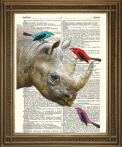 Rhino &amp; Birds Dictionary Print: Friends Vintage Page Art, Free Shipping Uk - £6.41 GBP