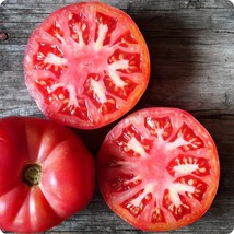 AD 50 Seeds Cosmonaut Volkov Red Tomato Juicy Tomatoe Vegetable Edible F... - $18.19 CAD
