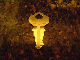 Orban Optimod 8100,8100ST,8100XT,8185,9000Am, 9100Am Front Panel Key - $9.87