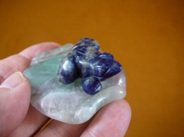 (Y-FRO-LP-705) BLUE SODALITE FROG frogs LILY PAD stone gemstone CARVING ... - $17.53