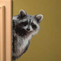Raccoon Peering Around Wall Decal - 7&quot; wide x 11&quot; tall - £9.29 GBP