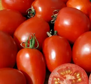 50 Seeds Amish Paste Tomato Heirloom Tomatoes Juicy Vegetable Fresh - £8.14 GBP