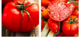 Beefsteak Tomato Seeds Fresh Vegetable Seeds Home and Gardening Plant - $19.99+