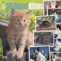 I Love Kittens 365 Days 18-Month 2014 Calendar (Multilingual Edition) [Calendar] - £5.61 GBP