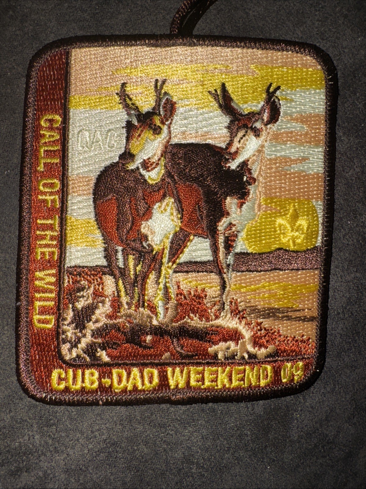 Boy Scouts Cub Scout Outdoor Activity Call Of The Wild Cub-dad Weekend 09 Patch Item image 3