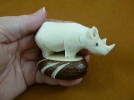 (TNE-RHI-174C) RHINO Rhinoceros TAGUA NUT Figurine carving Vegetable lov... - $28.04