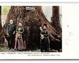 General Fremont Wife and Daughter Big Tree Grove Santa Cruz CA UDB Postc... - $3.91