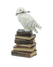 White Snowy Owl Perched On Stack of Magical Books Statue - £30.95 GBP