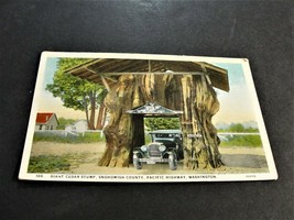 Giant Cedar Stump, Snohomish County, Pacific Highway, Washington-1900s Postcard. - £8.54 GBP
