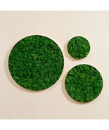 Round Framed Moss Wall Decor Large - £129.23 GBP