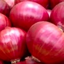 50 Red Creole Onion Seeds Pack NON-GMO Heirloom Fresh Seeds - £3.62 GBP