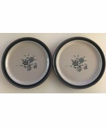 NORITAKE Stoneware Pleasure 8344 Lot of 2 Dinner Plates 10.5&quot; Vintage - $26.91 CAD