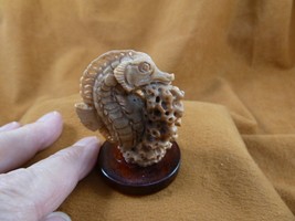 (tb-seah-4) little tan Seahorse Tagua NUT palm figurine Bali carving sea... - $38.56