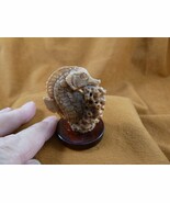 (tb-seah-4) little tan Seahorse Tagua NUT palm figurine Bali carving sea... - $732.90 MXN