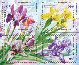 Russia 2021. The Red Book. Irises (MNH OG) Block of 4 stamps - £9.53 GBP