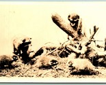 RPPC Family of Trash Pandas Raccoons 1920s UNP Unused AZO Postcard J2 - $8.87