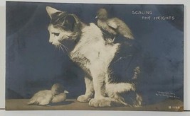 RPPC Scaling the Heights Baby Duck on Cat Real Photo 1906 Postcard K19 - £11.95 GBP