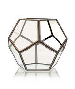 Glass Terrarium - Large Octagon - £20.74 GBP