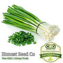 Evergreen White Bunching Onion Seeds Non-Gmo - £7.83 GBP