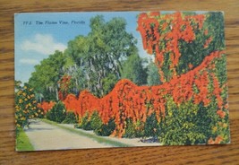 015 VTG The Flame Vine Florida Postcard FF-2 Miami 1939 George Washingto... - £3.97 GBP
