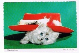 Animal Postcard Fluffy Gray White Kitten Under Red Hat Feather Scalloped... - $2.16