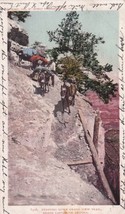 Grand Canyon Arizona Grand View Trail 1905 UDB RPO Postcard E08 - £5.97 GBP