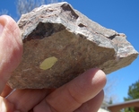 JURASSIC TODILTO LIMESTONE URANIUM 7.4 OZ.  GRANTS NM 50,000 CPM   $43.0... - £34.58 GBP